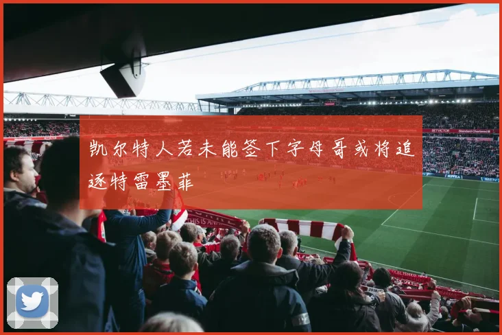 凯尔特人若未能签下字母哥或将追逐特雷墨菲